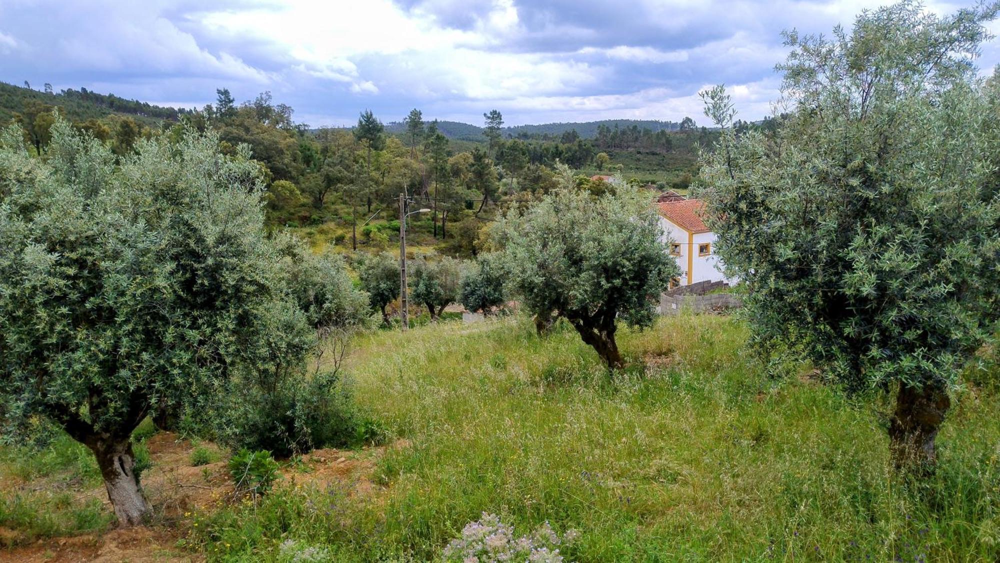 Alegria Rustica 2 Rustic Happiness Bed & Breakfast Envendos Eksteriør bilde