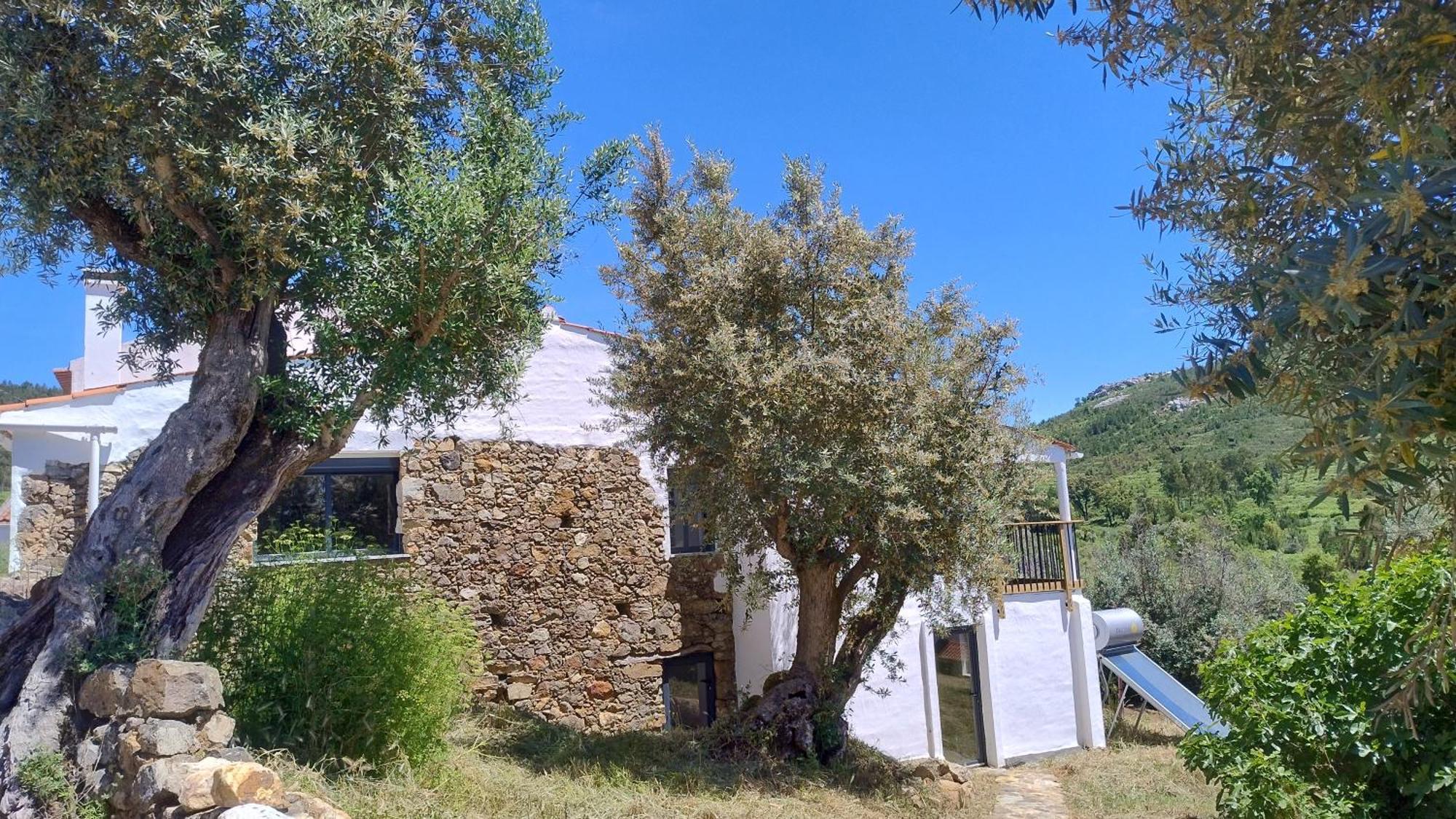 Alegria Rustica 2 Rustic Happiness Bed & Breakfast Envendos Eksteriør bilde